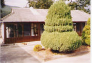 Árvore de Chong Chá